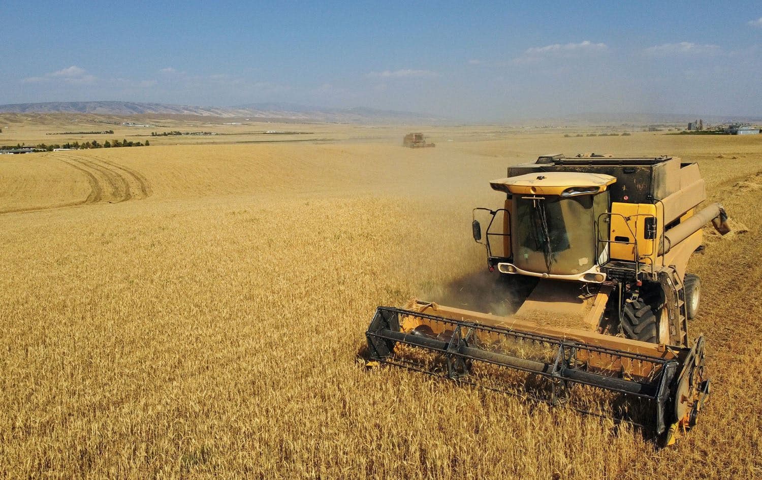 Wheat harvest in Erbil province. Photo: Bilind T. Abdullah/Rudaw
