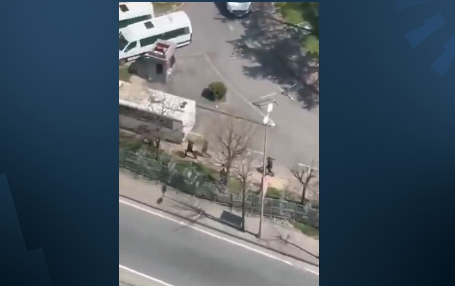 دیمەنێکی شوێنی رووداوەکە