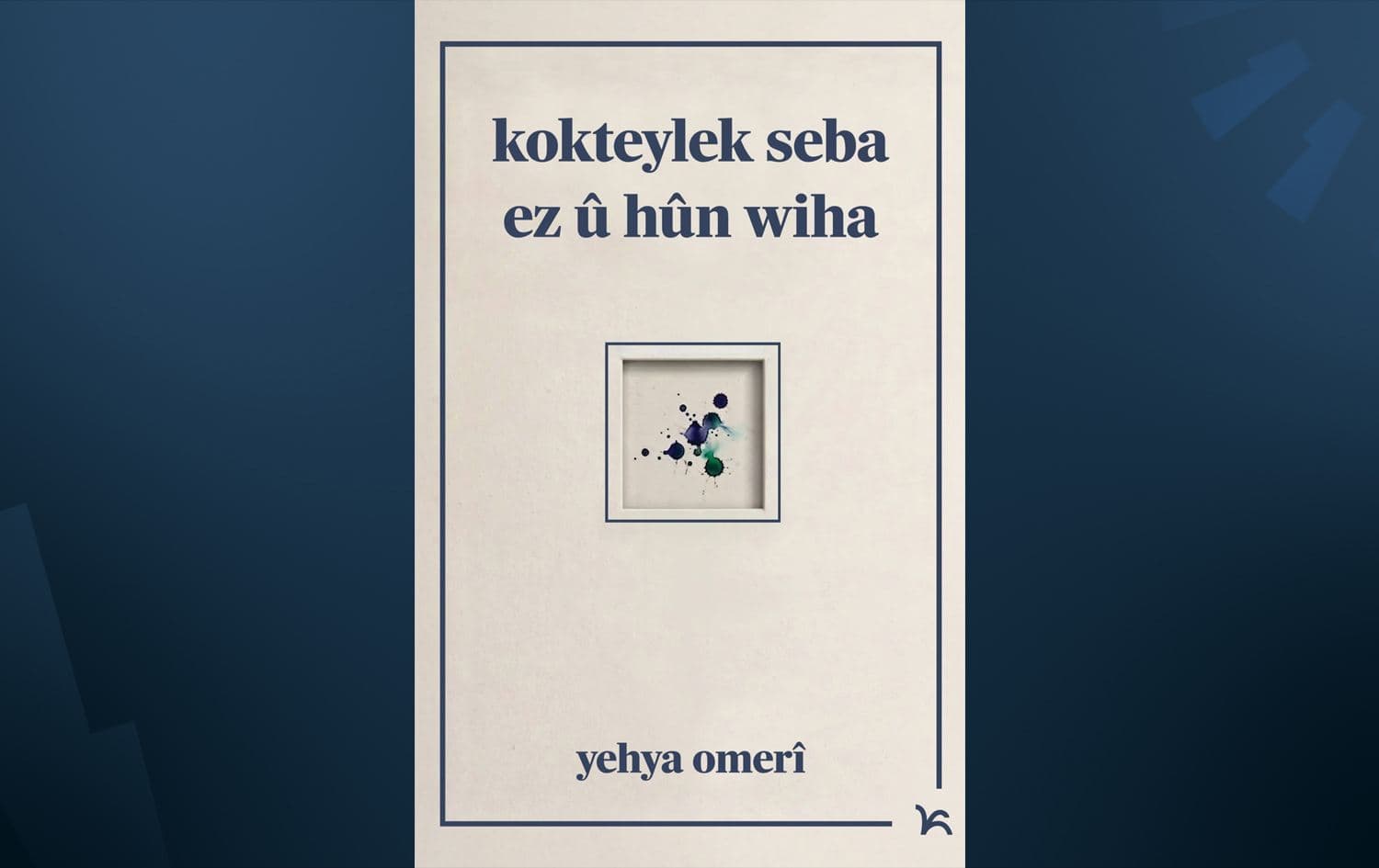 Bergê pirtûkê / Wêne: Pall Weşan