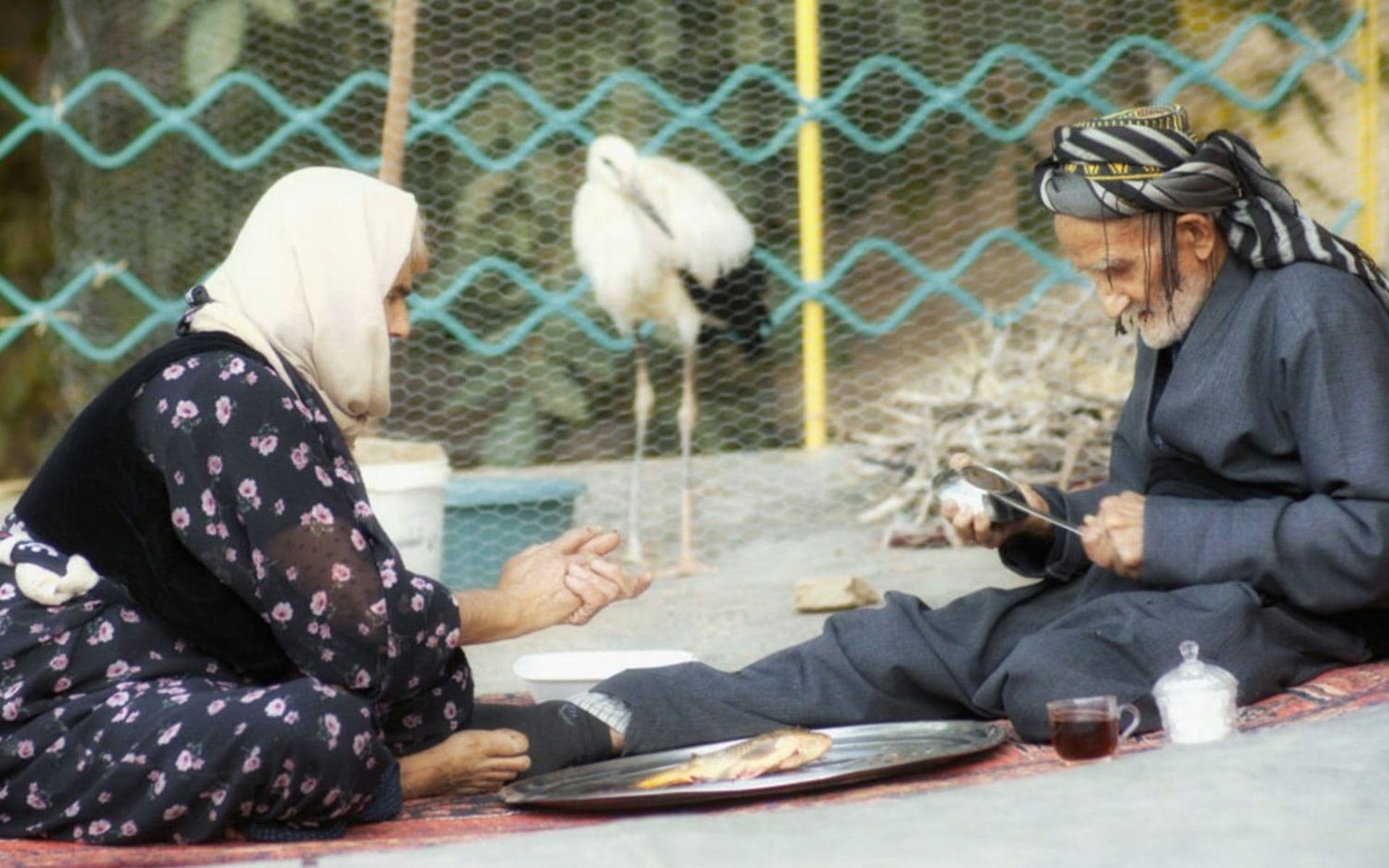 Kanatların Şarkısı – Awazî Balekan