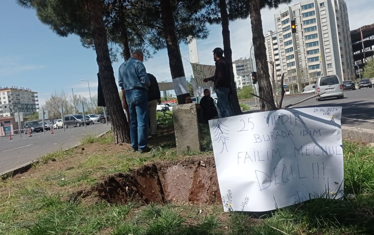 Diyarbakır’da ağaçlar yol yapımı için kesiliyor mu? Ekoloji örgütleri tepkili
