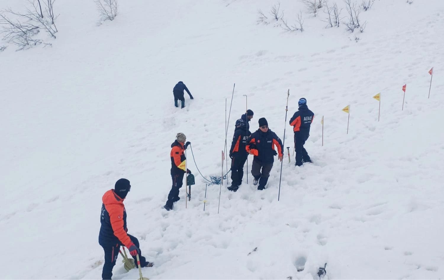 Artvin'in Ardanuç ilçesinde çığ altında kalan çobanı arama çalışmaları yeniden başlatıldı. / Foto: AA