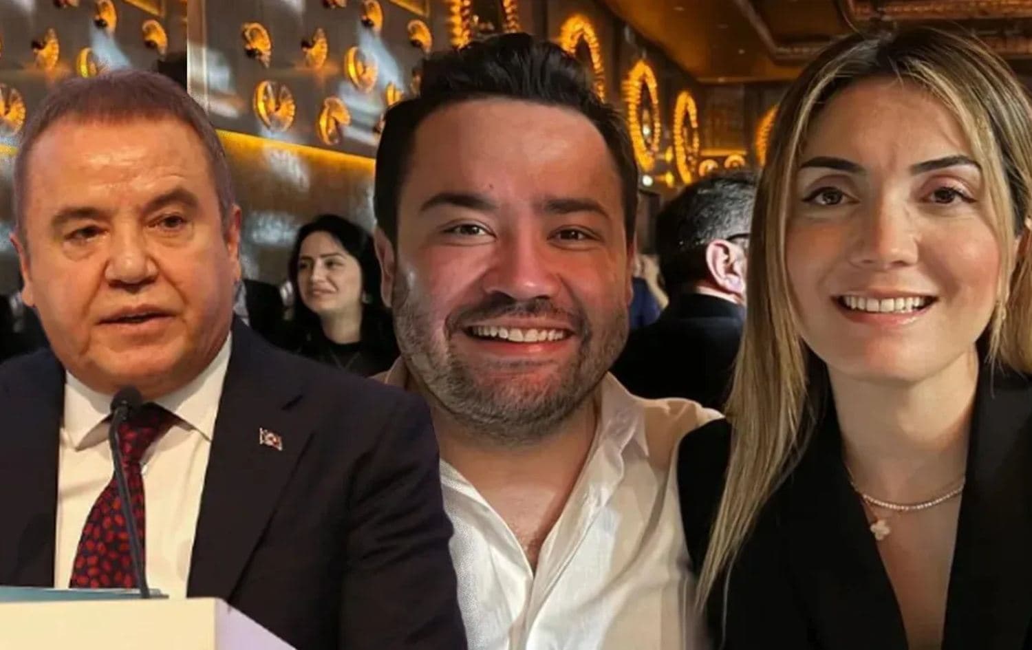 Böcek ailesi. / Fotro: Arşiv
