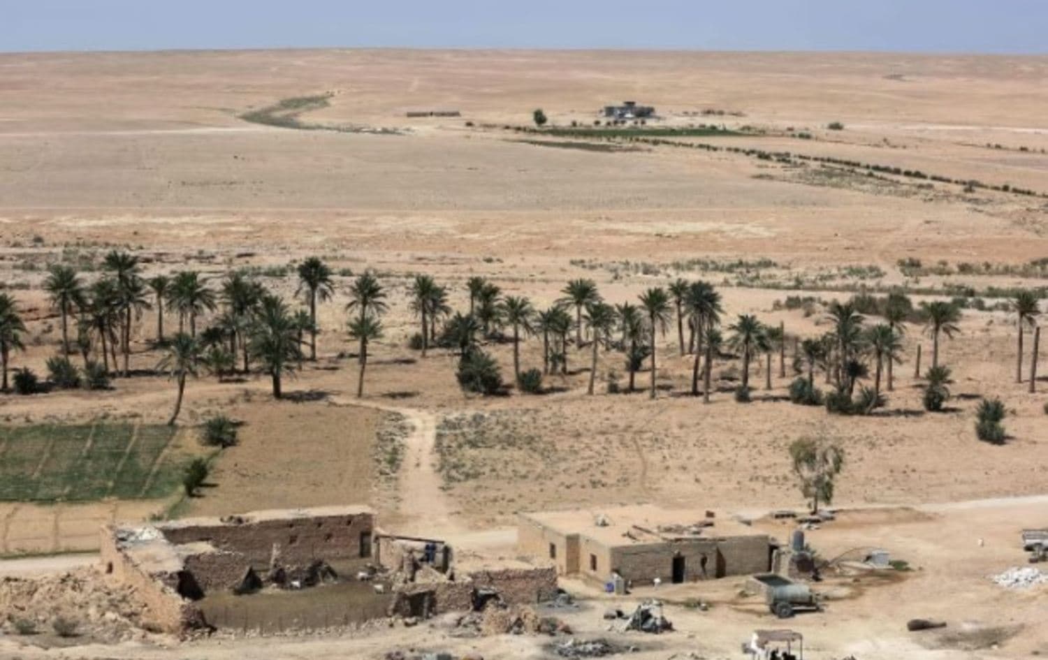 Irak'ın batı çöl bölgesi Foto: AFP