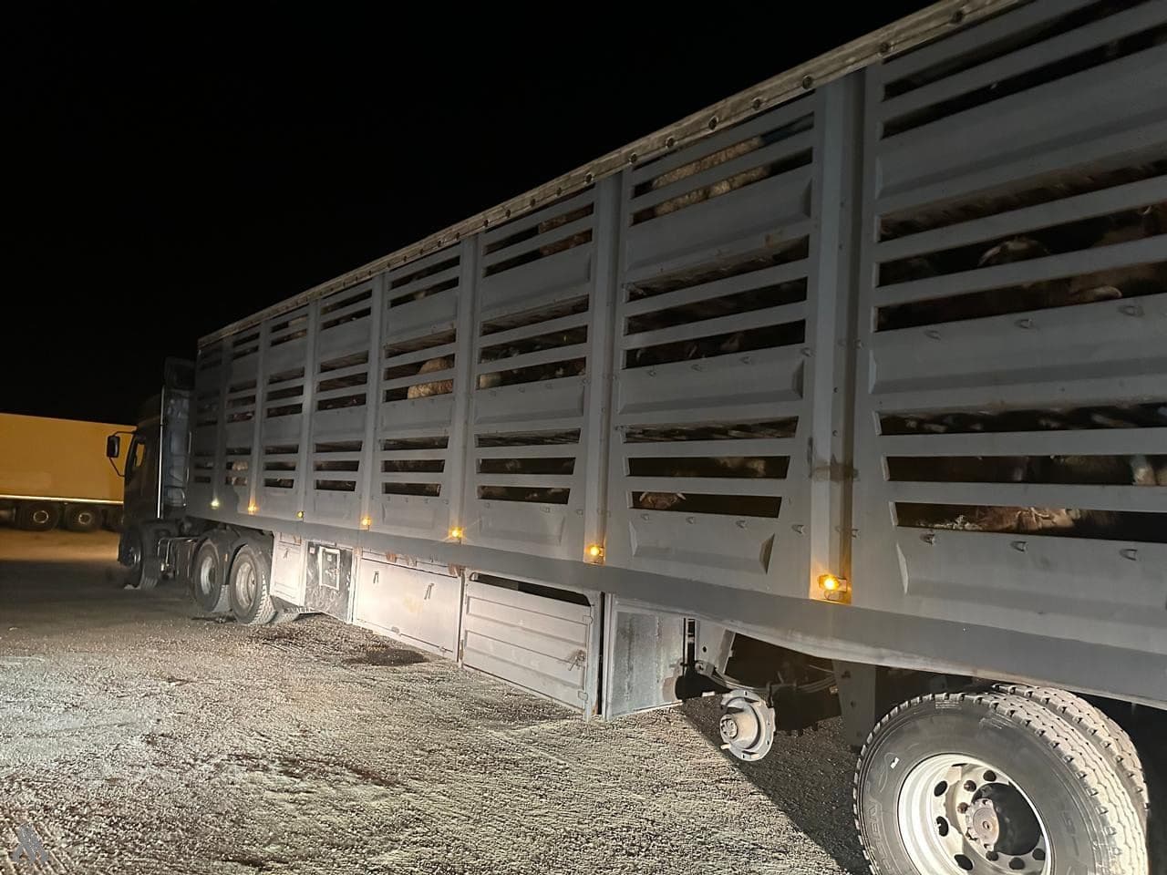 First Syria-Kuwait TIR shipment through Iraq. Photo: INA