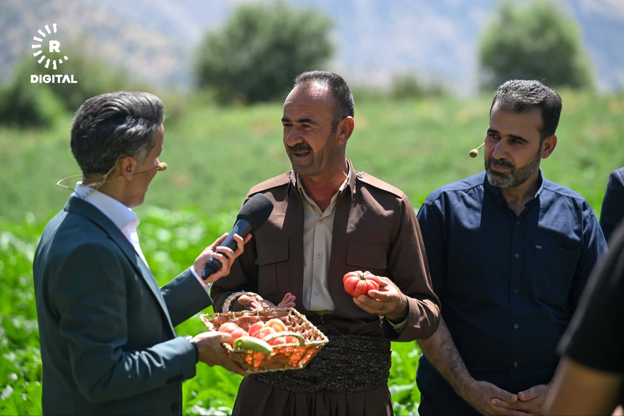 بە وێنە؛ خەیار و بەرهەمی جووتیاران لە دەڤەری باڵەکایەتی