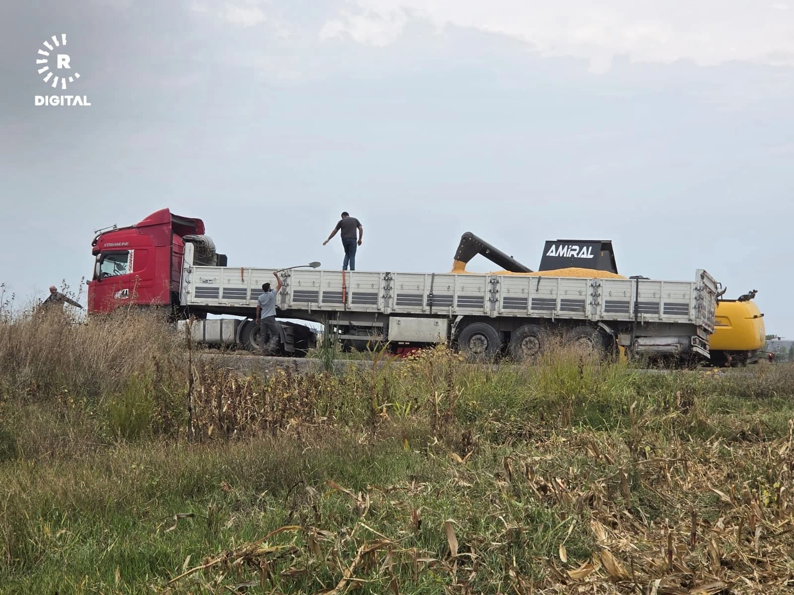 FOTO – Diyarbakır’da erken yağmur, erken hasat getirdi