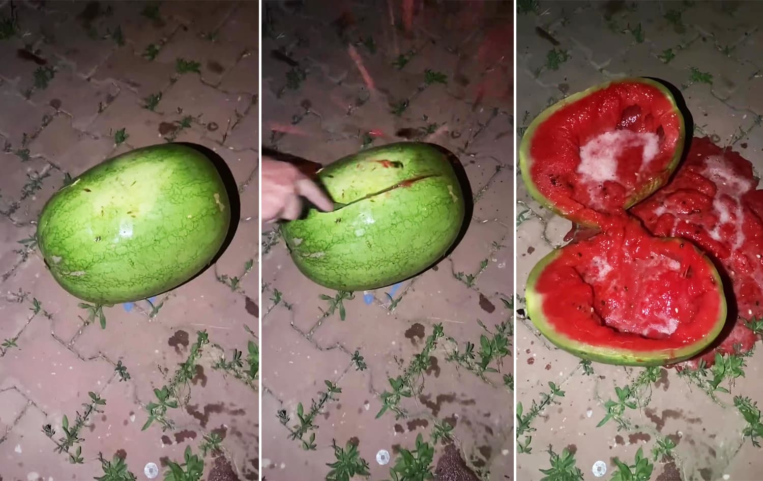 وردەکاریی زانستی لەبارەی ئاوسان و بەئاوبوونی شووتییەک ئاشکرا دەکرێت