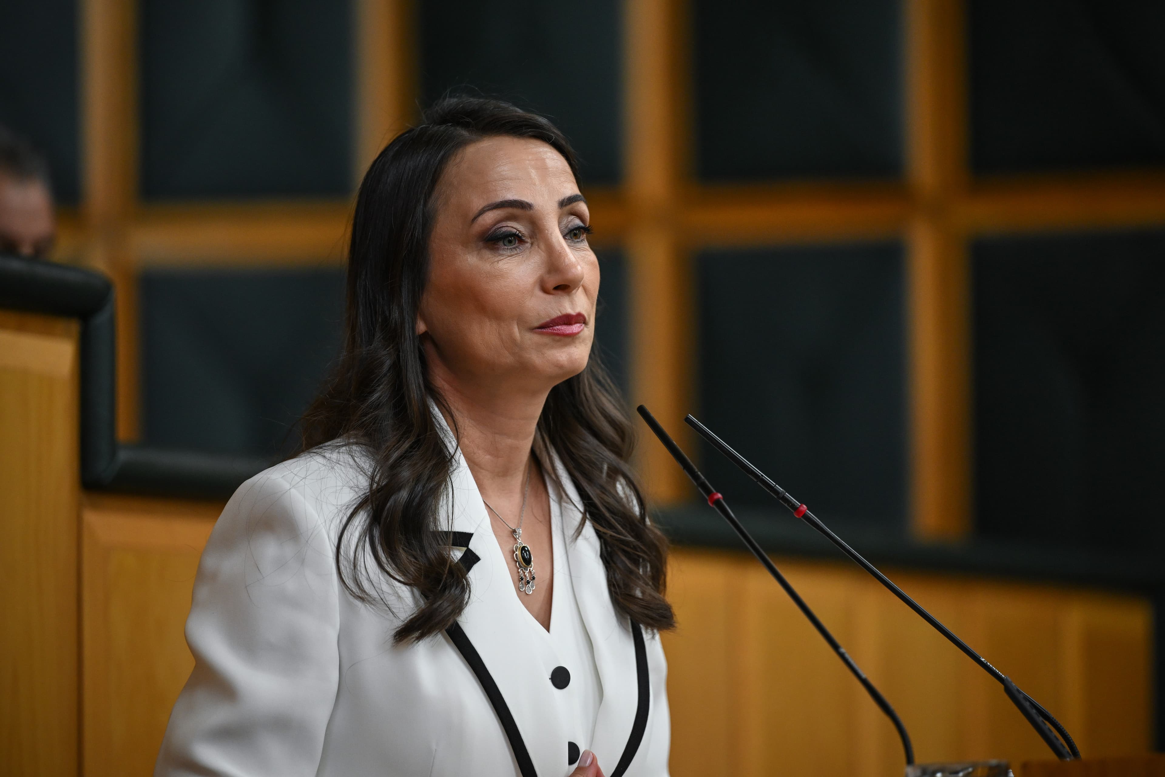 Hatimoğulları: Kürtler PKK'lilerin yaşama katılmasını istiyor, Meclis bunlara yanıt versin