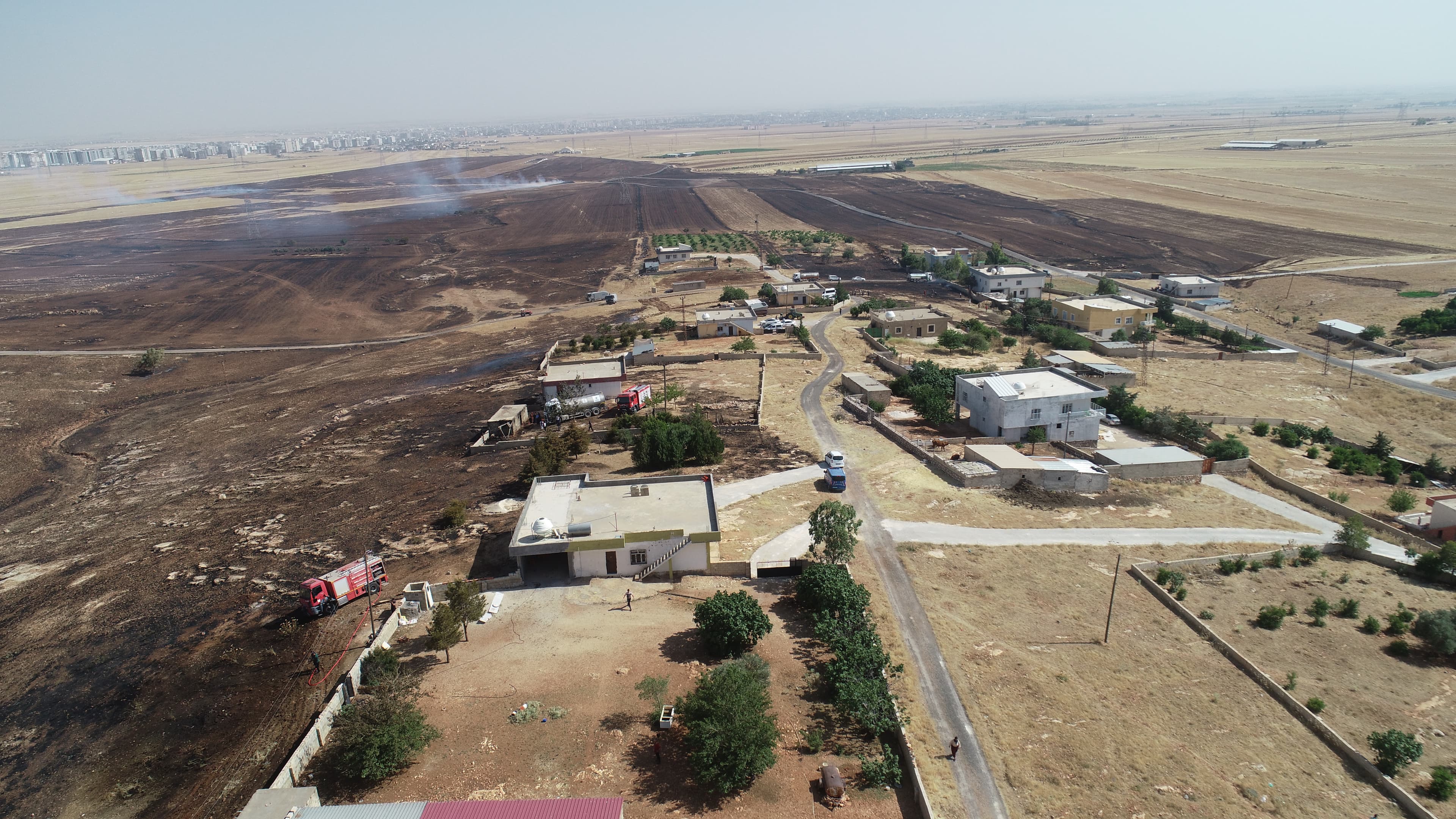 Mardin'de anız yangını: TOMA ve itfaiye müdahale ediyor