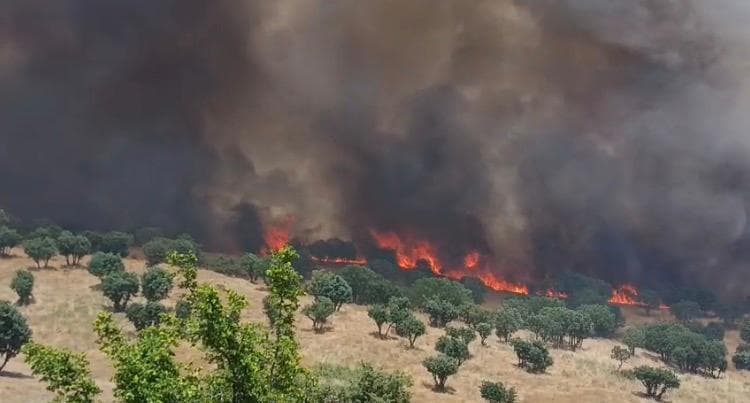 Kulp’taki yangın kontrol altına alındı, Diyarbakır’da 100 hektar alan zarar gördü