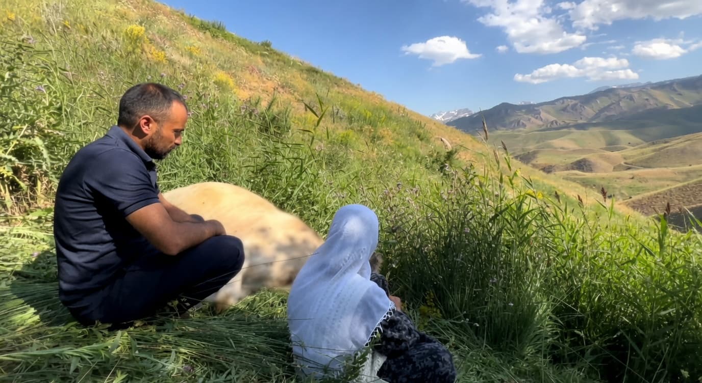 GEVER - Xêrxwaz çêlek û golikan ji Xaltîka Eynê re dişînin