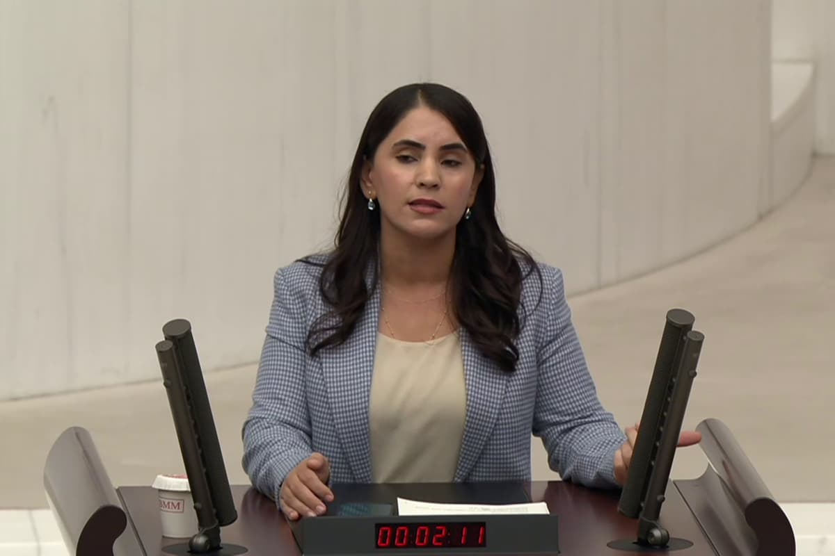DEM Parti'li vekilden Meclis'e ‘Çocuk Bakanlığı’ teklifi