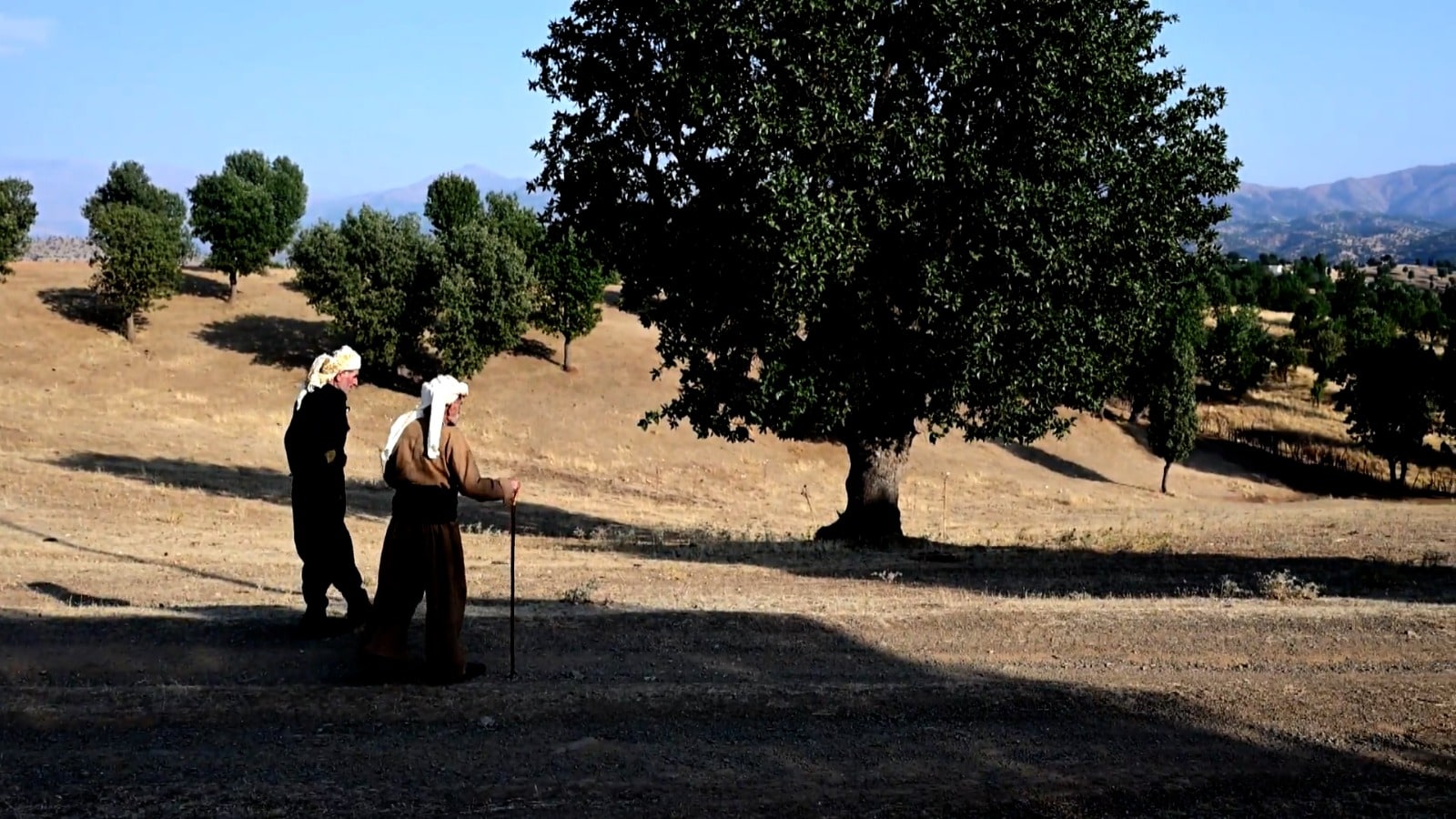 Kurdistan26-07-2026100-year old local serves as Kurdistan Region’s very own ‘Guardian of the Trees’In Hatka village, nestled in the rugged hills of Erbil’s northeast Bradost mountain range, an extraordinary legacy of environmental stewardship spans nearly a century, sustained by a single guardian and his family.