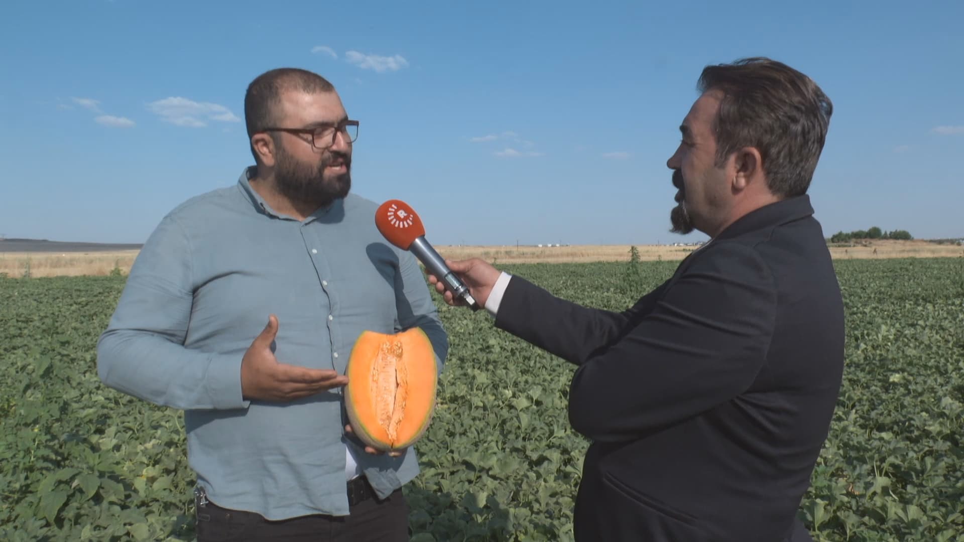 Piştî salan li Amedê şîn dibe: Petêxê ‘deh parsî’ dişînin Ewropayê