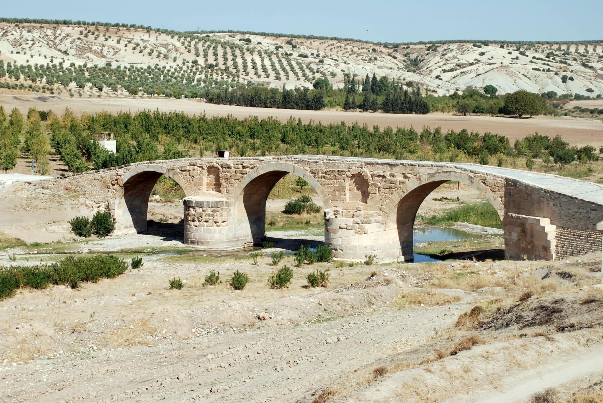 Sûriye: Parastina şûnwarên Efrînê ji bo me pêşîneyeke niştimanî ye
