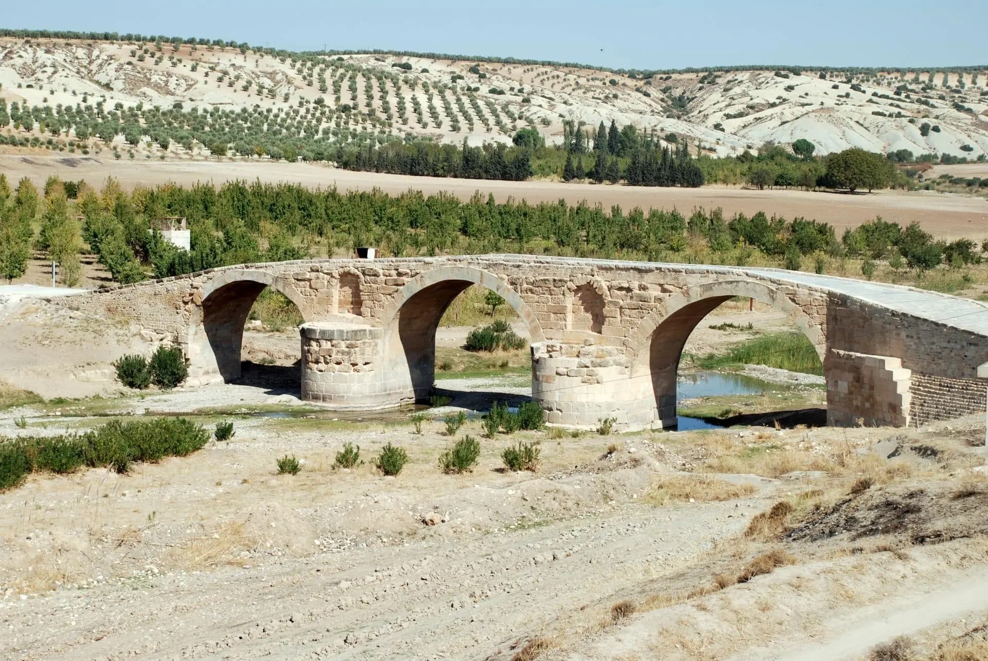Suriye Tarihi Eserler Müdürlüğü: Efrin'deki tarihi yerleri korumak ulusal önceliğimizdir