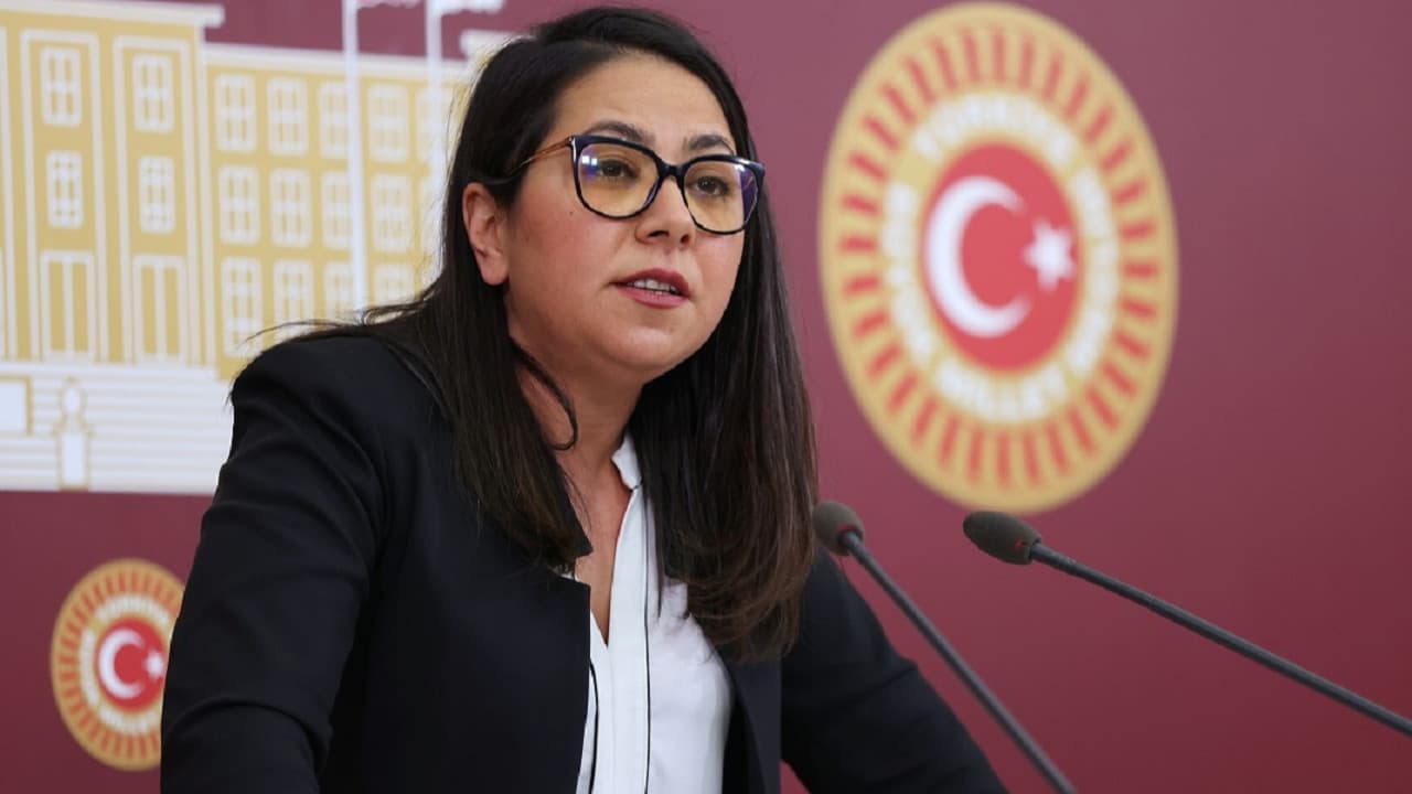 TİP Milletvekili Sera Kadıgil hakkında resen soruşturma başlatıldı