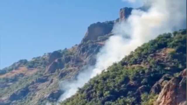 DERSİM - Munzur Vadisi Milli Parkı'nda orman yangını
