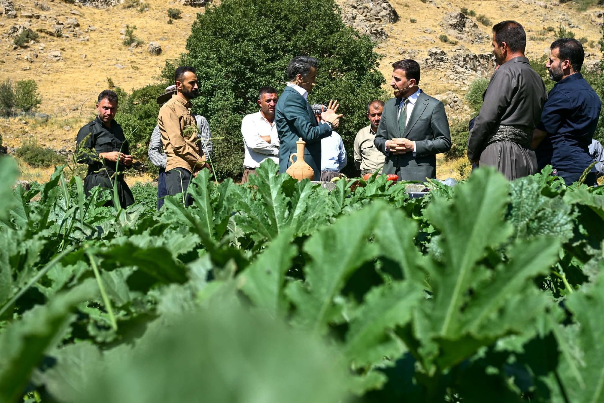 جووتیاران گلەیی ساخنەبوونەوەی بەرهەمەکانیان لە سنووری باڵەکایەتی دەکەن