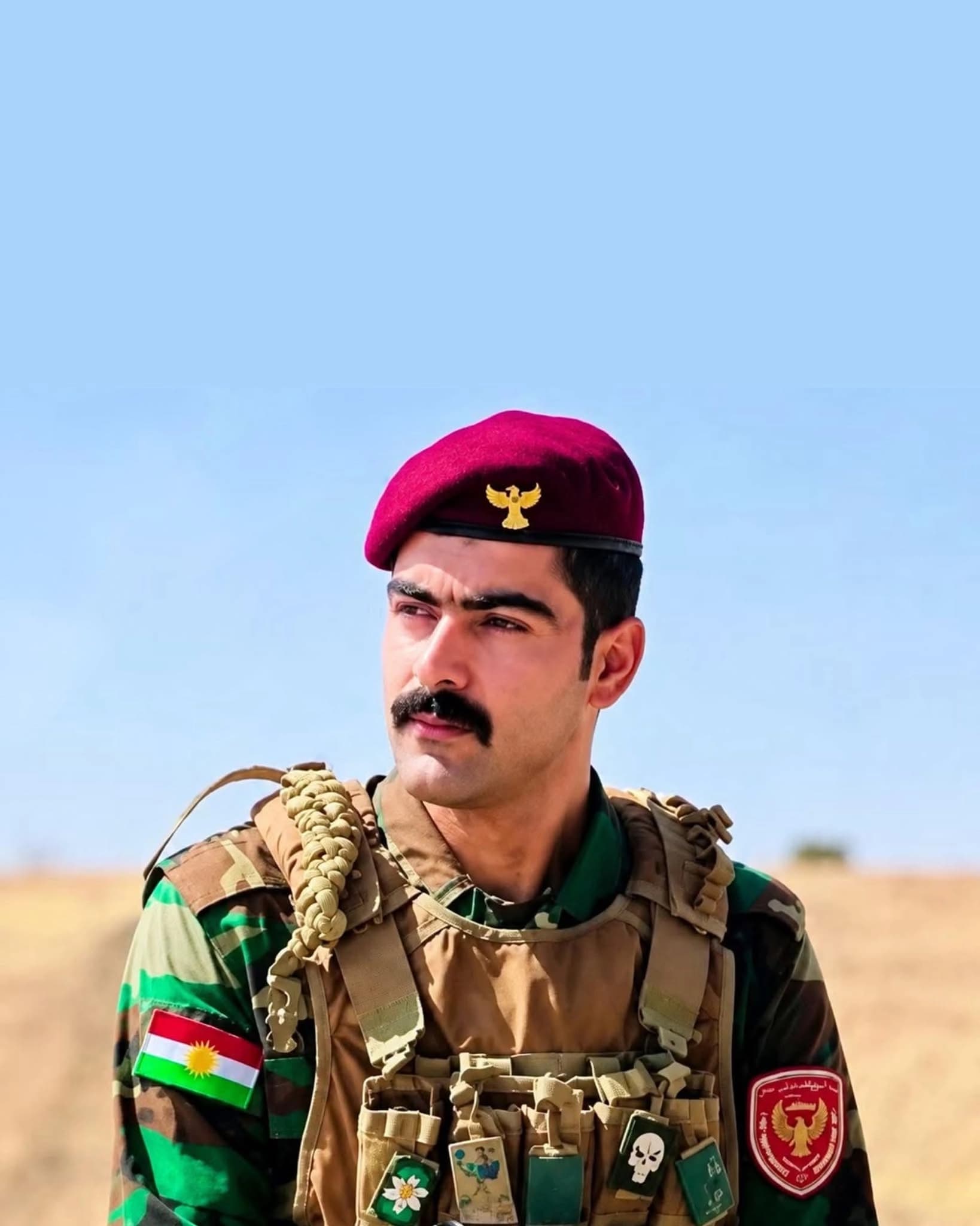 وێنەی پێشمەرگەکە