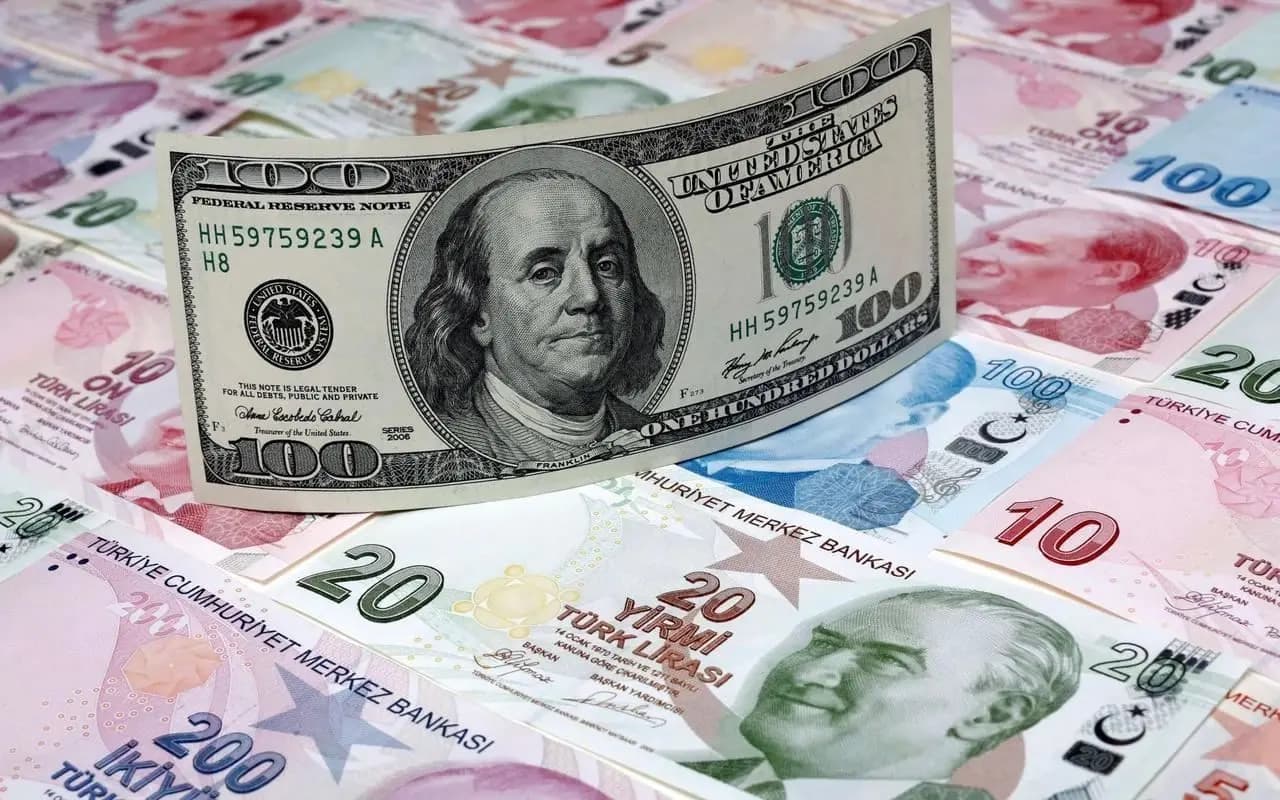Dolar ve eurodan yeni rekor: Dolar 48 lirayı aştı