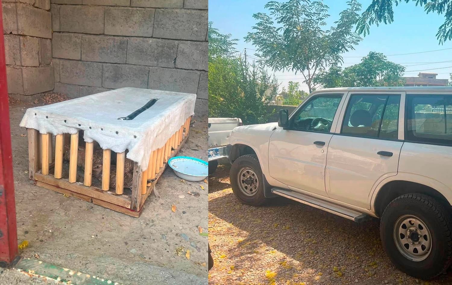 لە گەرمیان تۆمەتبارێک بە 24 باڵندەی کێوییەوە دەستگیرکرا