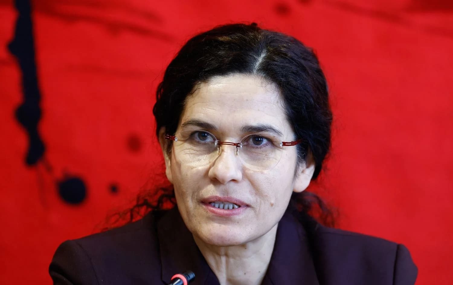 Özerk Yönetim Dış İlişkiler Dairesi Eşbaşkanı İlham Ahmed