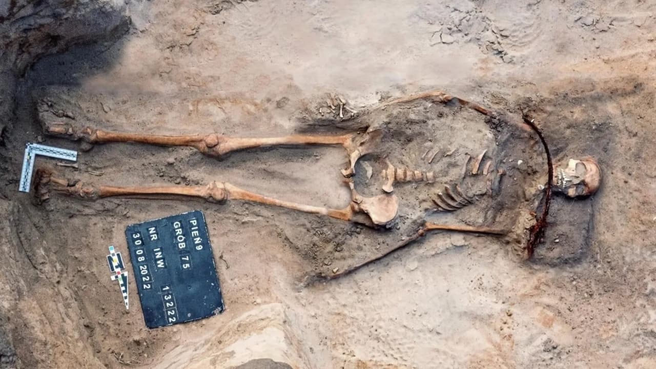 Journal of Archaeological Science: Reports