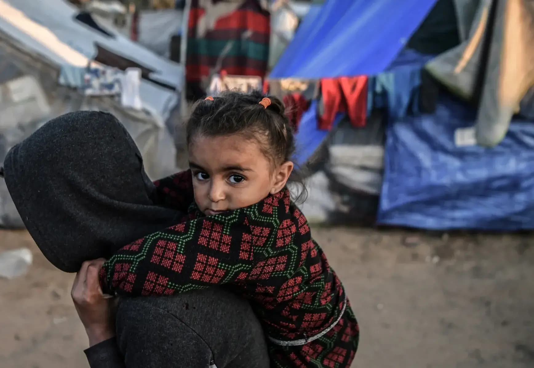 IOMê ji Rûdawê re got: Li cîhanê 82,2 milyon kes koçber in