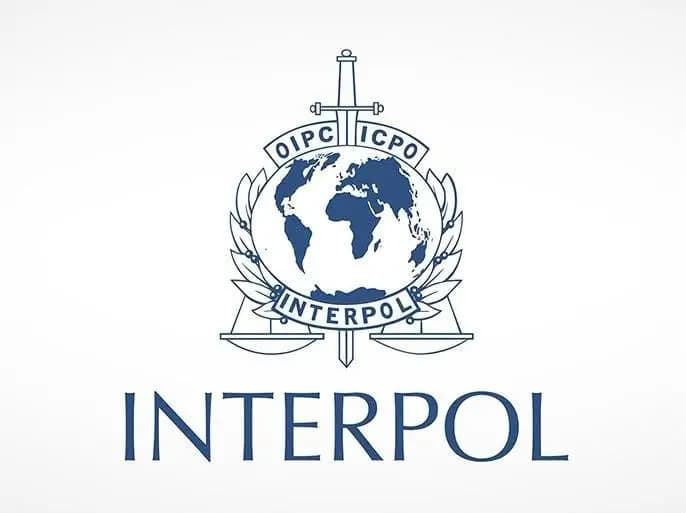 Interpol tarafından aranan 3 zanlı Irak'a iade edildi