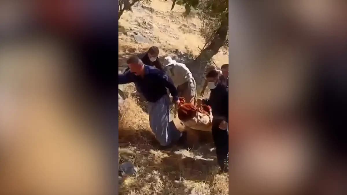 Termê şivanekî Kurd piştî hefteyekê hat dîtin