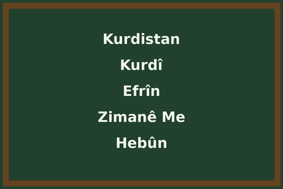 Efrîn ji bo zimanê xwe dadikeve qadan
