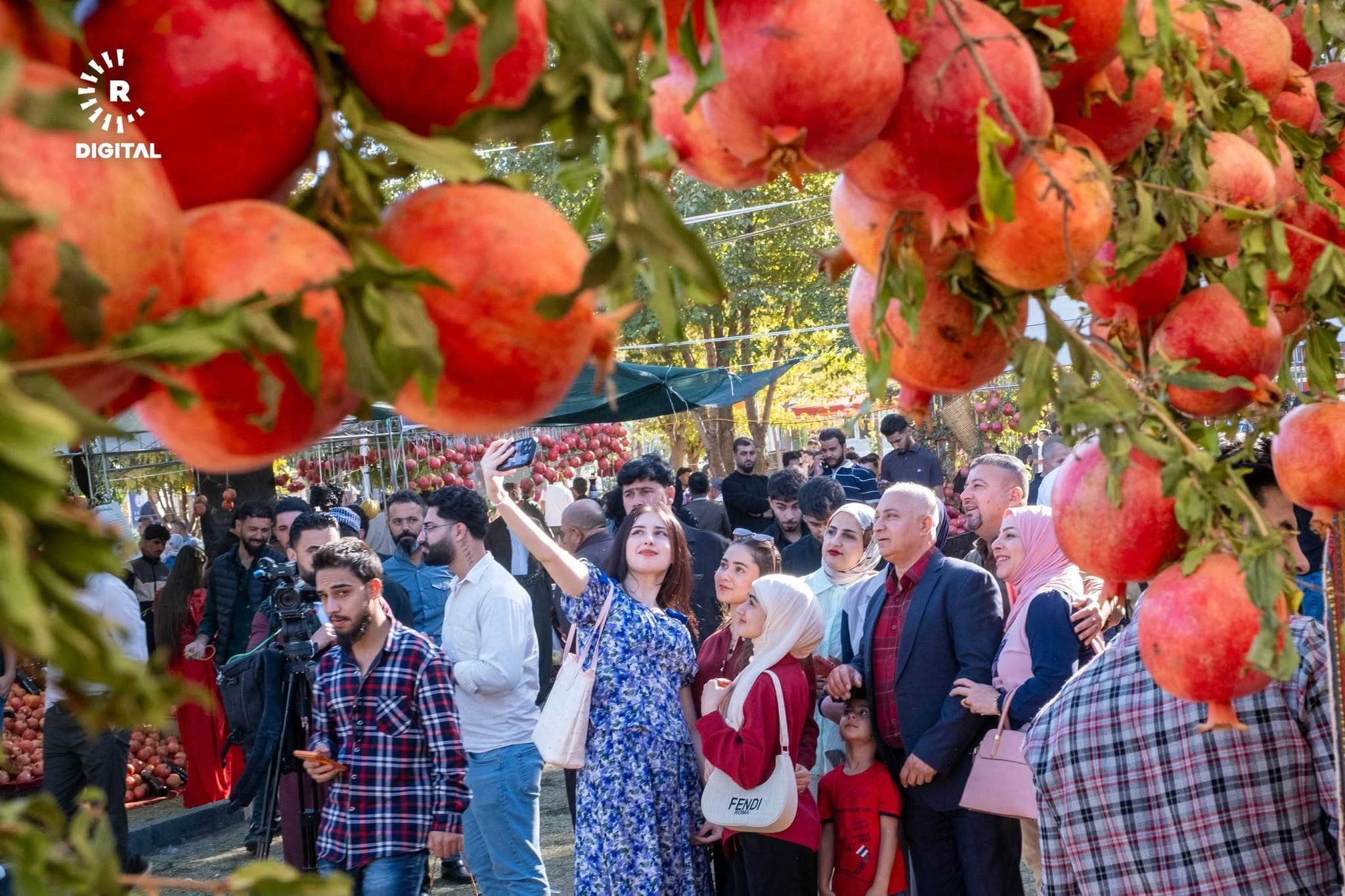 12ـەمین فێستیڤاڵی هەناری هەڵەبجە؛ ماوەکەی دەبێتە چوار رۆژ و مەرجێکی ژینگەیی دانراوە