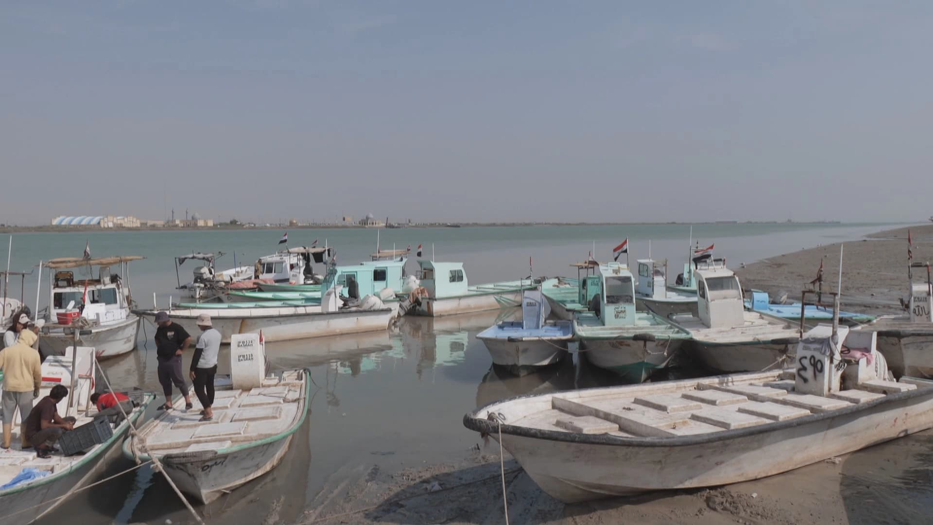 راوچییانی بەسرە ناتوانن بەدڵی خۆیان لە کەنداو راوەماسی بکەن