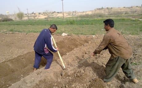 Farmers in Kirkuk. Photo: kirkuknow.com