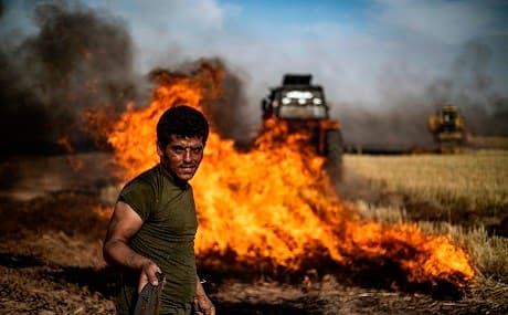 People battle a blaze in an agricultural field in the town of al-Qahtaniyah, Hasaka province near the Syrian-Turkish border, June 10, 2019. Photo: Delil Souleiman / AFP