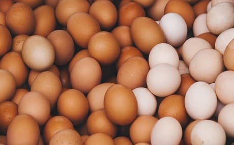 Eggs PHOTO: Justin Sullivan/ Getty Images