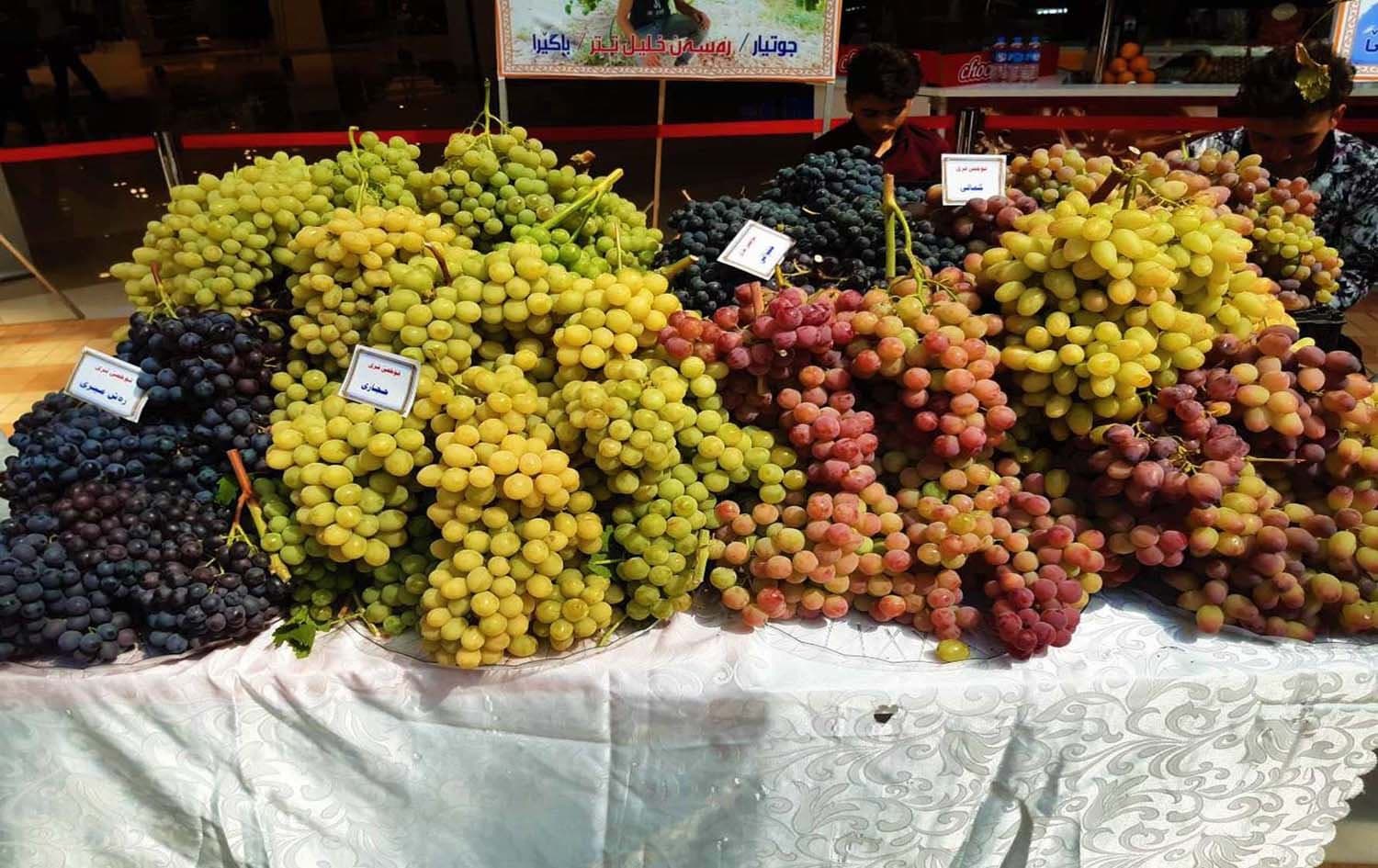 Grapes displayed at the 13th Grape Fair at Family Mall in Duhok on September 20, 2019. Photo: Anadolu Agency (AA)