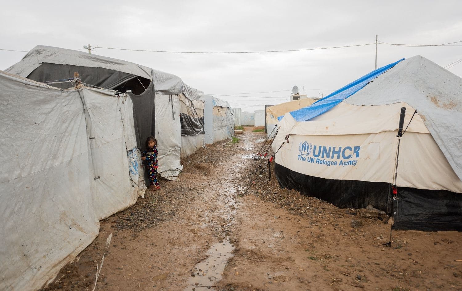 A child enters a tent in Iraq’s Hassan Sham camp, housing families from Mosul, on November 26, 2020. Photo: Bilind T. Abdullah/Rudaw
