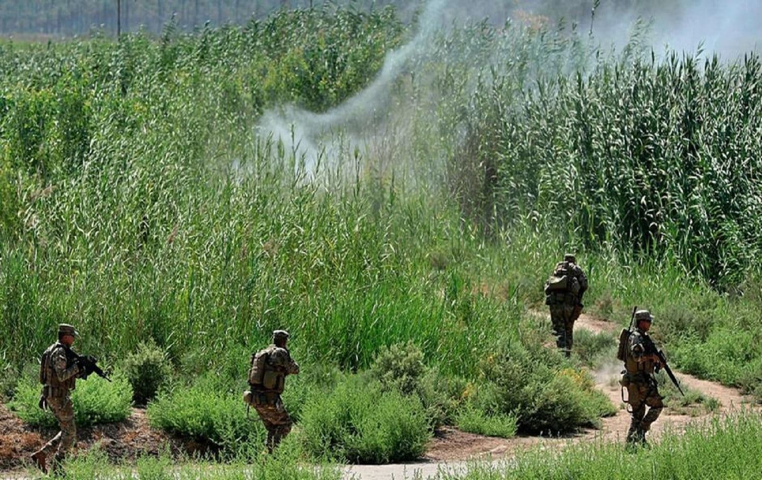 Iraqi troops during a search operation in Tarmiyah, 50 kilometres north of Baghdad. File photo: AFP