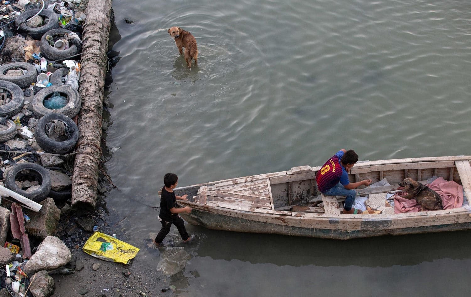 Iraqi youths play with dogs in a fishing boat on the Shatt Al-Arab river by the port of al-Maaqil in Basra, on October 2, 2021. Photo: Hussein Faleh/AFP
