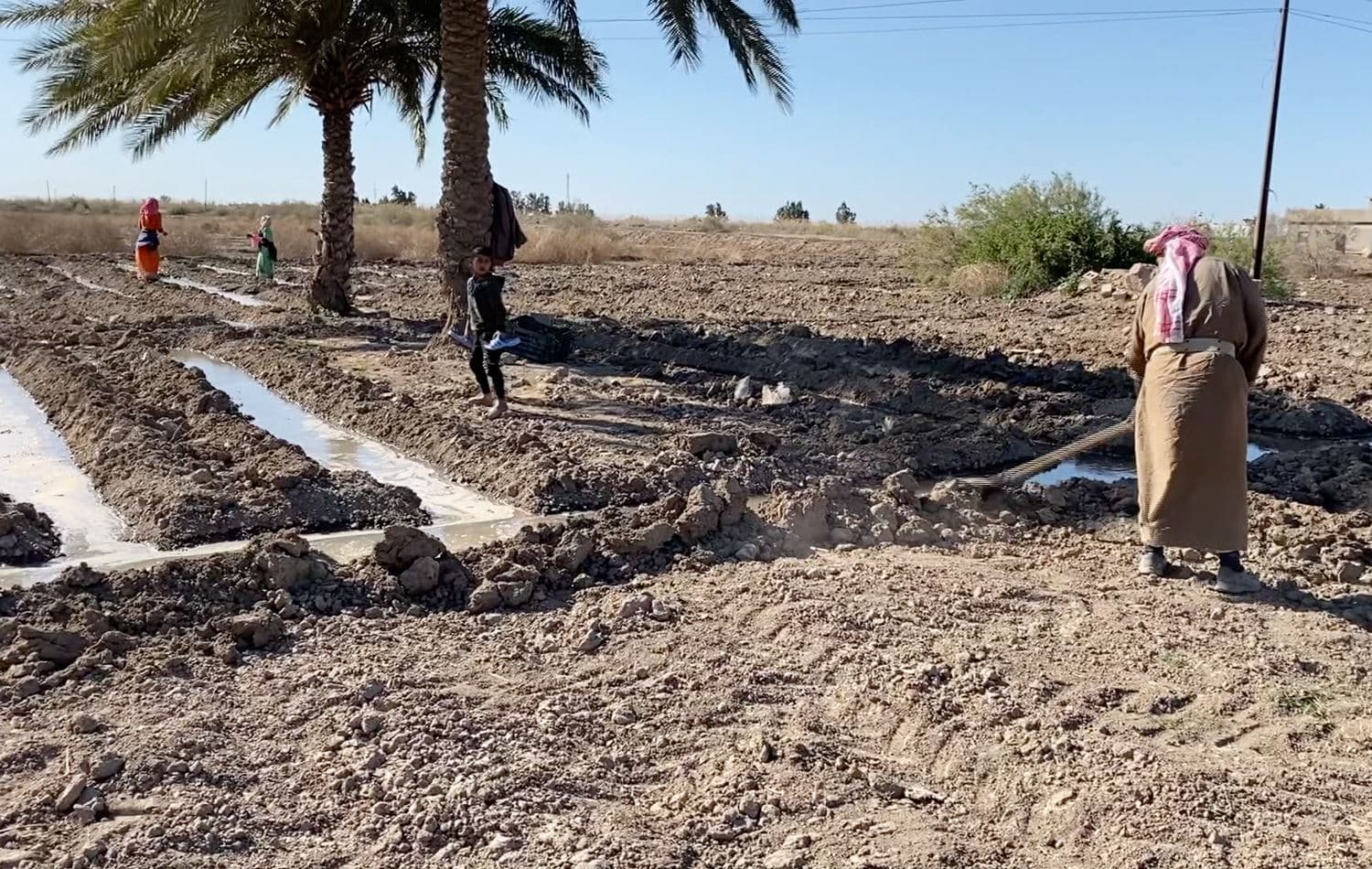 An Iraqi family cultivates a farmland in the town of Al-Kahla in Iraq's southeastern Maysan province on March 19, 2021. Photo: Screenshot from Rudaw video