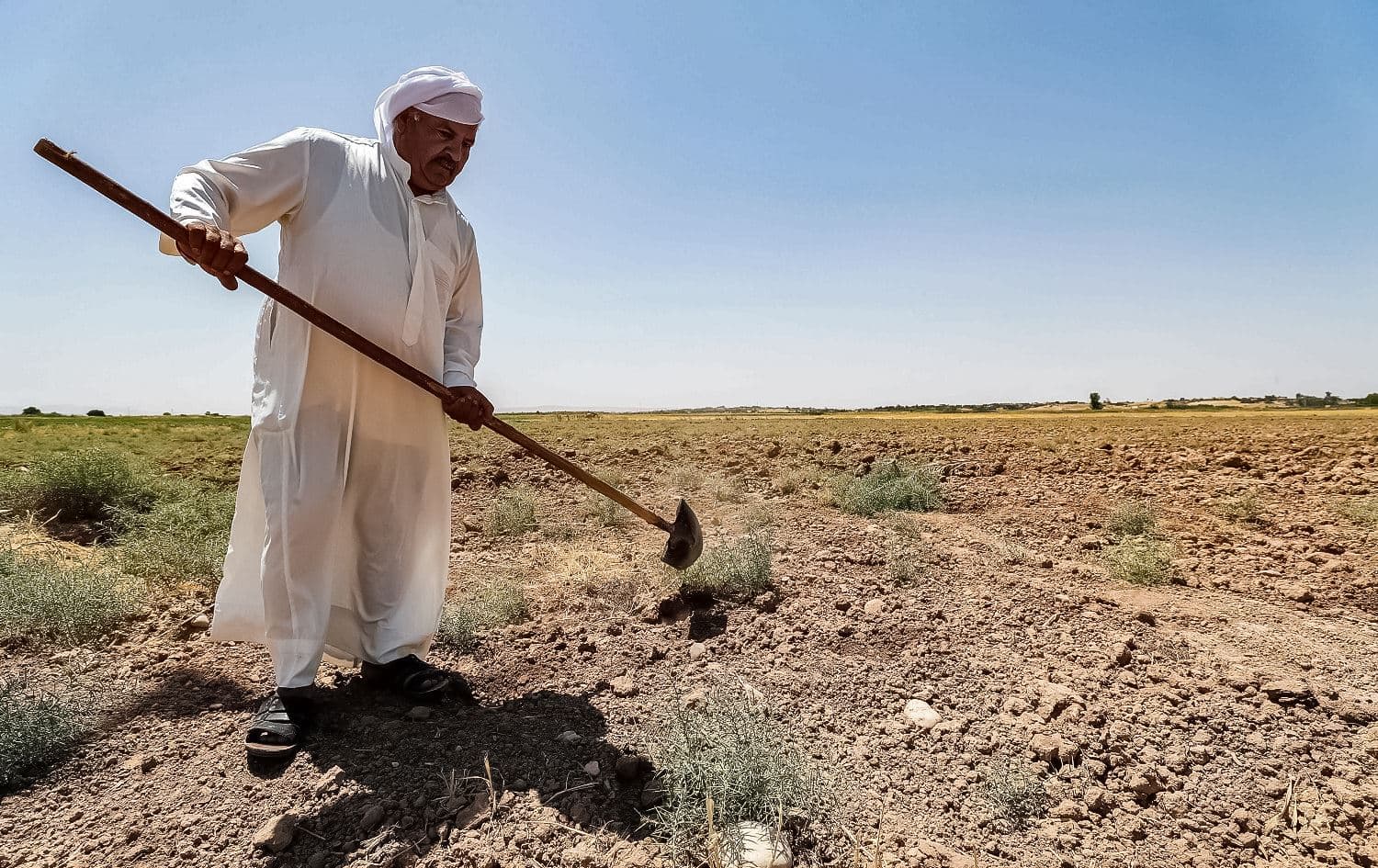 A farmer digs with a shovel in a field on his farm in the Khanaqin area on June 24, 2021. Photo: Ahmed al-Rubaye/AFP