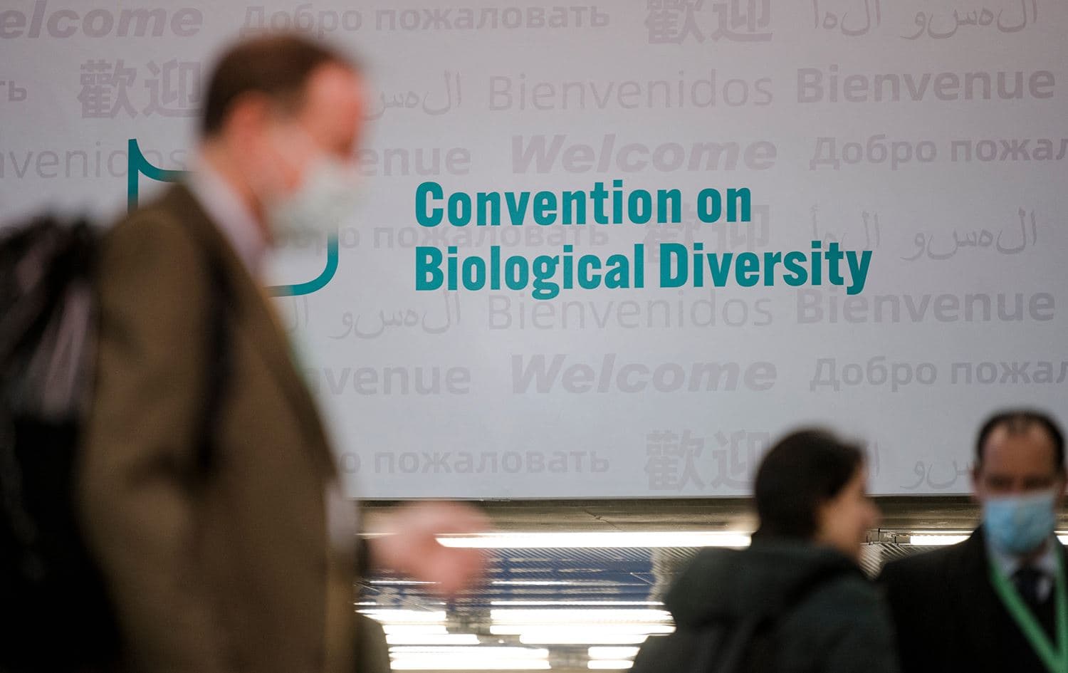 People walk in front of the convention sign at the UN Biodiversity Conference (COP15) in Montreal, Quebec, Canada, on December 17, 2022. Photo: AFP