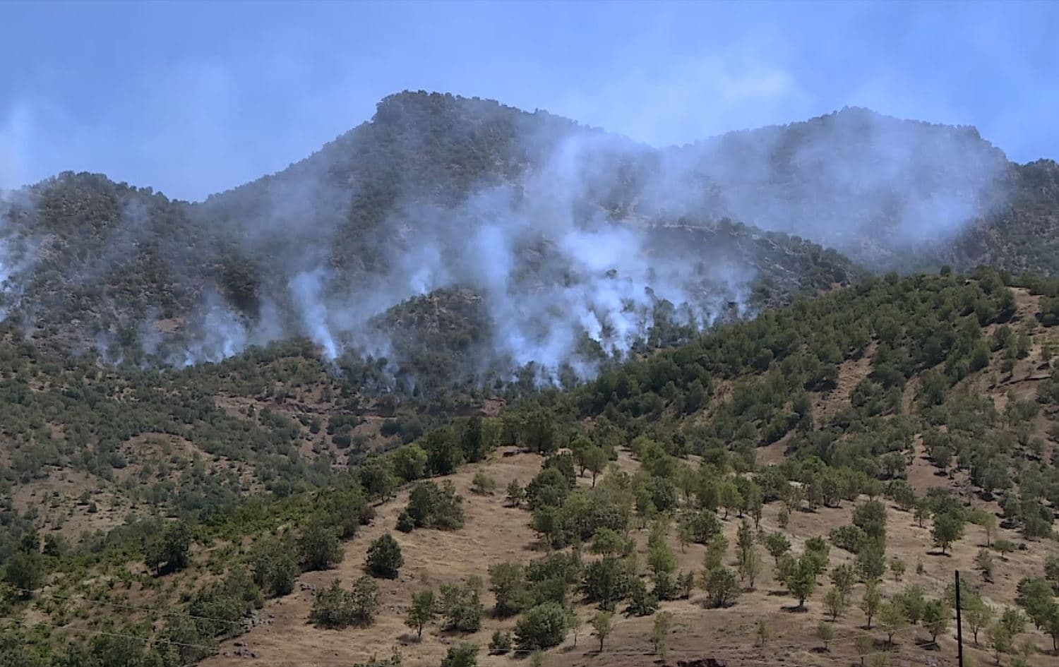 Li Amêdiyê ji ber bombebarana Tirkiyê agir bi daristan û zeviyan ket