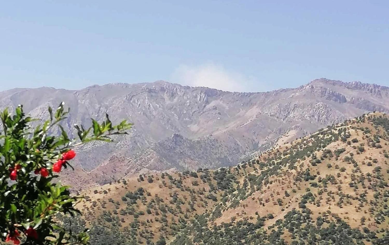 دیمەنی کاتی بۆردوومانی چیای ئاسۆس