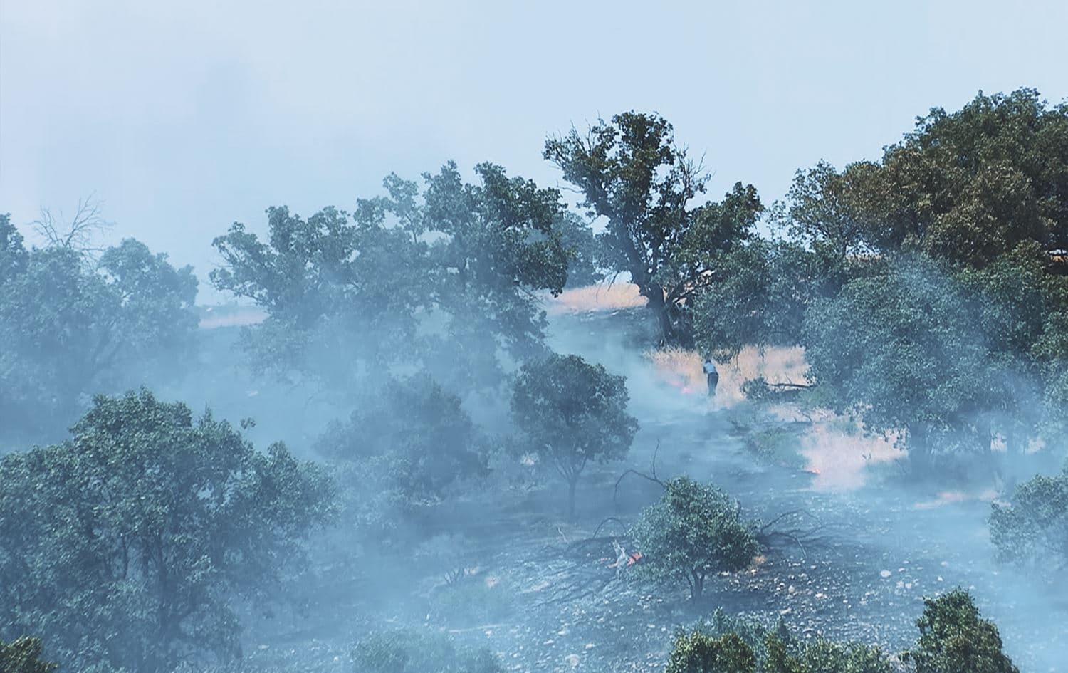 Fire in the forests of northern Duhok’s Amedi district following Turkish bombardment on July 17, 2023. Photo: Rudaw