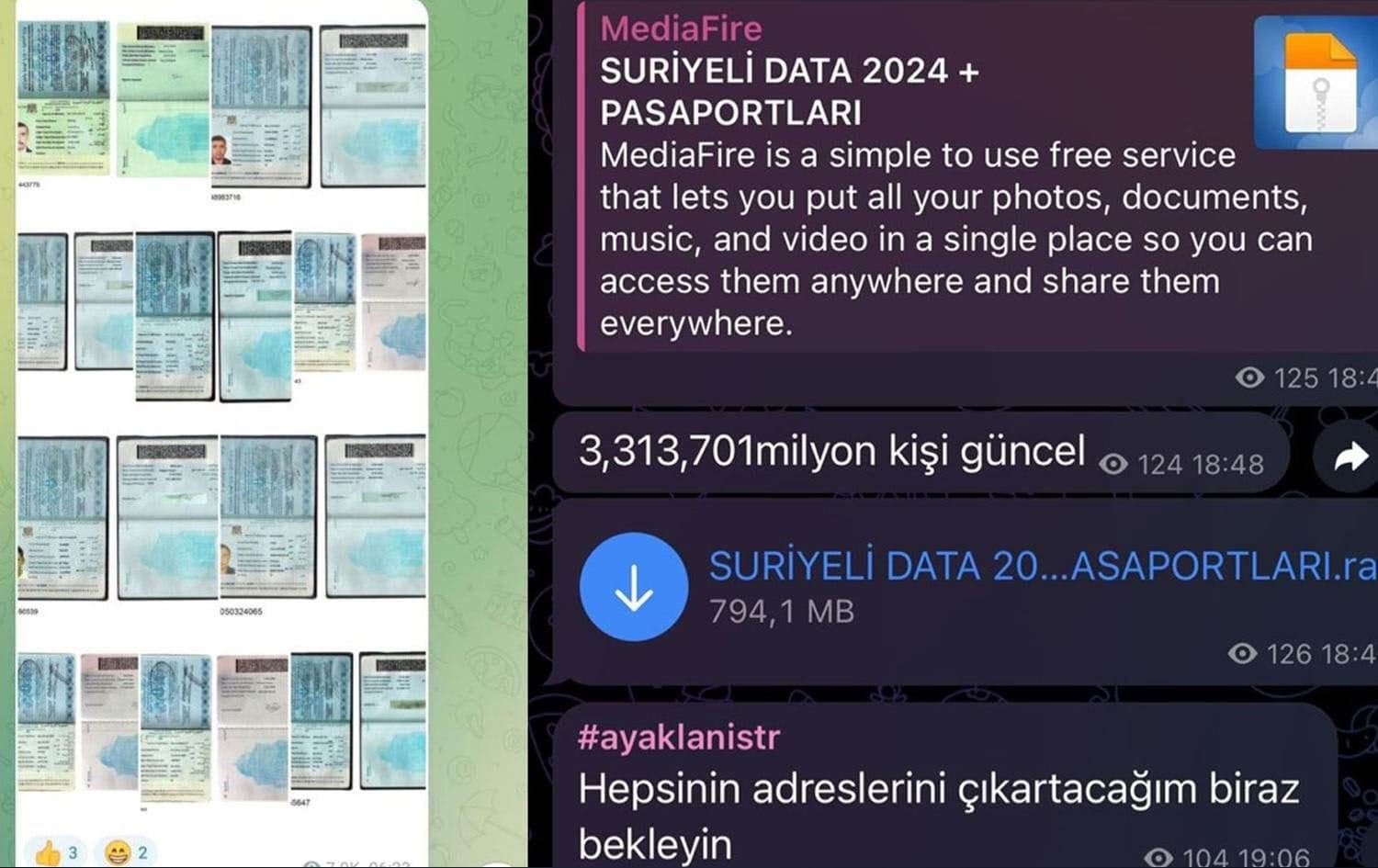A screenshot showing the Telegram channel sharing the passport information of millions of Syrians, and texts in Turkish reading "3,313,701 person updated" and "I'll get the addresses of all of them, wait a bit". Graphic: Rudaw.