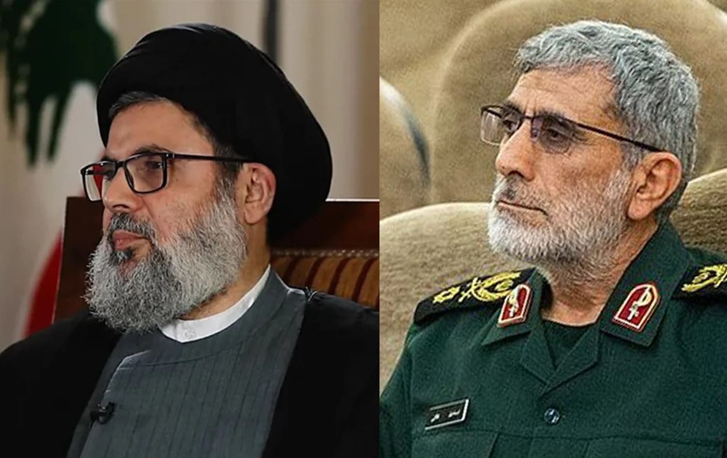 ئیسماعیل قائانی و هاشم سەفیەدین